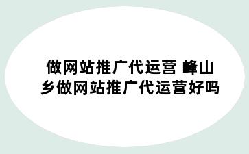 做网站推广代运营 峰山乡做网站推广代运营好吗